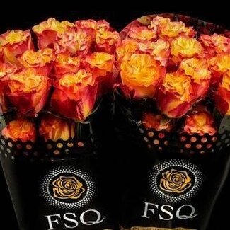 Freshy Grootbloemige Roos “Sunset X-pression” | Kleur: Geel Oranje | Lengte ± 60 centimeter | Herkomst Ecuador | Per 20 verse bloemen