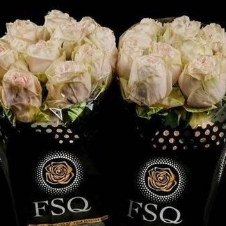 Freshy Grootbloemige Roos “Wedding Spirit” | Kleur: Wit | Lengte ± 50 centimeter | Herkomst Ecuador | Per 20 verse bloemen