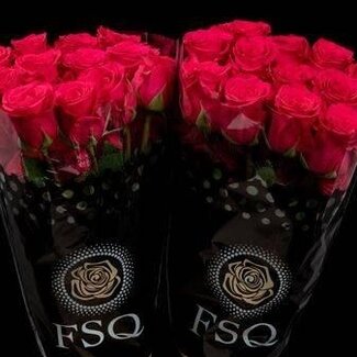 Freshy Large-flowered Rose “V.I.Pink” | Colour: Pink | Length ± 50 centimeter | Origin Ecuador | Per 20 fresh flowers