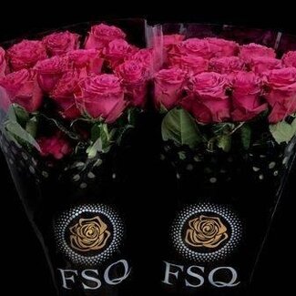 Freshy Rose à grandes fleurs “Venturoso” | Couleur: Rose | Longueur ± 50 centimeter | Origine Ecuador | Par 20 fleurs fraîches