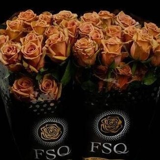 Freshy Großblütige Rose “Toffee” | Farbe: Orange Braun | Länge ± 60 centimeter | Herkunft Ecuador | Pro 20 frische Blumen