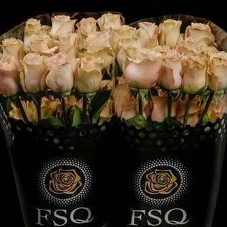 Freshy Rose à grandes fleurs “Quicksand” | Couleur: Rose | Longueur ± 50 centimeter | Origine Équateur | Par 20 fleurs fraîches