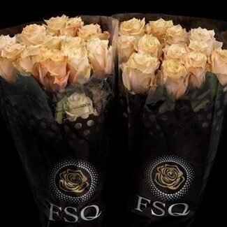 Freshy Grootbloemige Roos “Champagner” | Kleur: Geel Roze | Lengte ± 50 centimeter | Herkomst Ecuador | Per 20 verse bloemen