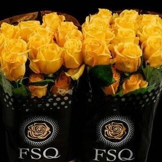 Freshy R Eq Super Sun