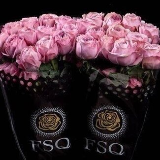 Freshy R Eq Gar Peonikiss