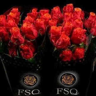 Freshy Rose à grandes fleurs “Espana” | Couleur: orange rouge | Longueur ± 40 centimètre | Origine Équateur | Par 20 fleurs fraîches