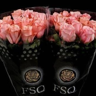 Freshy R Eq Be Sweet