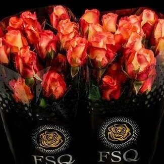 Freshy R Eq Encanto