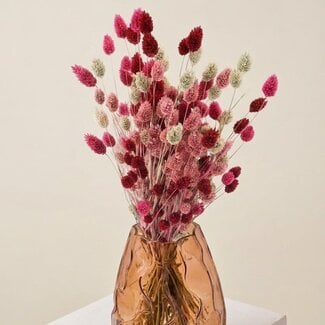 MyFlowers Bouquet of dried flowers Phalaris Lady Mix | Length ± 65 centimetres | Weight ± 175 grams