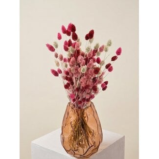 MyFlowers Bouquet of dried flowers Phalaris Lady Mix | Length ± 65 centimetres | Weight ± 175 grams