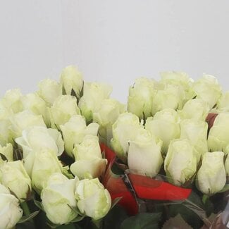 Freshy Roses “Countdown” | Couleur: Blanc | Longueur ± 35 centimètre | Par 20 roses