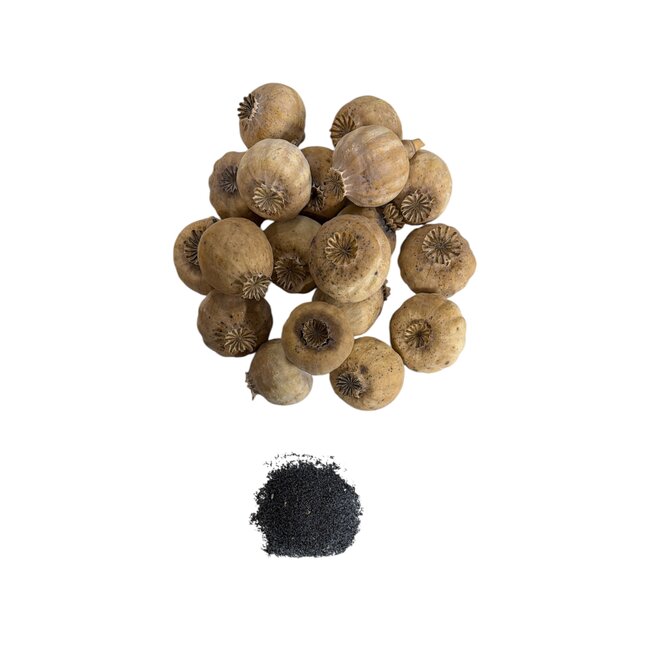 Gedroogde papaver koppen | Poppy Punjabi | Per kilo te bestellen