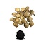 Dried poppy heads | Poppy Punjabi | Order by the kilo