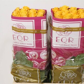 Freshy Grootbloemige Roos “Lighthouse” | Kleur: Geel | Lengte ± 60 centimeter | Herkomst Ecuador | Per 25 verse bloemen