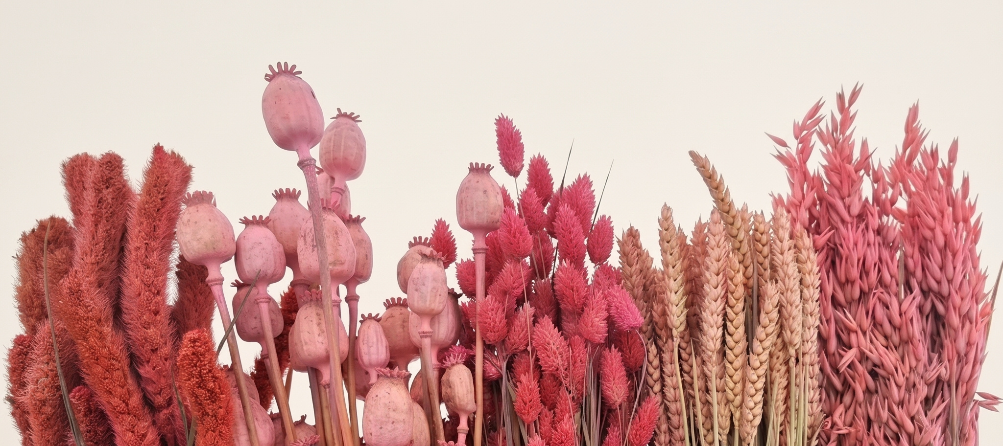 DIY SET Droogbloemen: Creatief Pakket | MyFlowers.shop