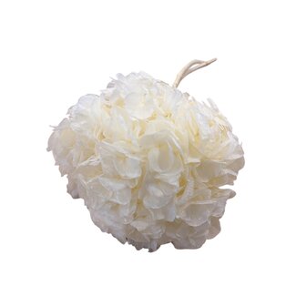Casa Alegria Hortensia blanchi préservé | Couleur: Blanc | Longueur ± 50 centimeter | Diamètre 15 centimeter | Par tige