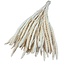 Dried Bleached Setaria Italica | Colour: White | Length ± 65 centimeter | Weight 130 gram | Per bunch