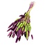 Lagurus Hare's-tail Bouquet “Lilac Lime” | Colour: Lilac Lime green | Length ± 70 centimeter | Weight 100 gram | Per bouquet
