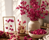 Bougainvillea droogbloemen | Creëer een blijvende mediterrane sfeer in je interieur