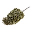 Preserved Hydrangea "Natural Plum" | Colour: Natural | Hydrangea Dried Flowers | Length ± 65 centimetre | Per stem
