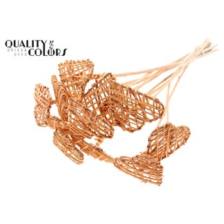 QC Rattan Lata Hart am Stiel | Farbe: Frosted Lachsfarben | Flacher Steckstab | Länge ± 50 centimeter | Pro 10 Steckstäbe