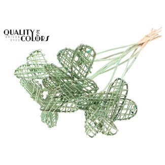 QC Rattan Lata Hart on stok | Colour: Frosted Mint green | Flat plant stake | Length ± 50 centimetre | Per 10 plant stakes