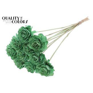 QC Shola Dahlia sur tige | Couleur: Menthe | Shola Dhalya | Diamètre 6 centimeter | Longueur ± 50 centimeter | 10 piques d'appoint par bouquet | Par bouquet