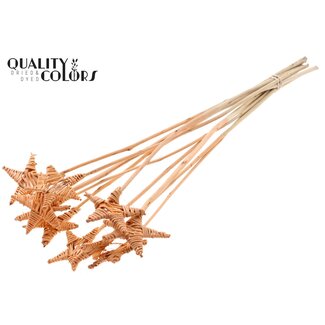 QC Rattan Lata Star on stake | Colour: Frosted salmon-coloured | Flat stake | Length ± 50 centimetre | Per 10 stakes