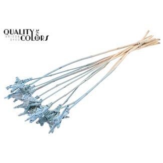 QC Rattan Lata Star on stake | Colour: Frosted Light Blue | Flat Stake | Length ± 50 centimetre | Per 10 stakes