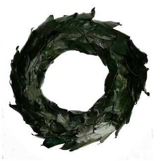 4A Krans Magnoliablad | Kleur: Donkergroen | Diameter 70 centimeter | Per krans
