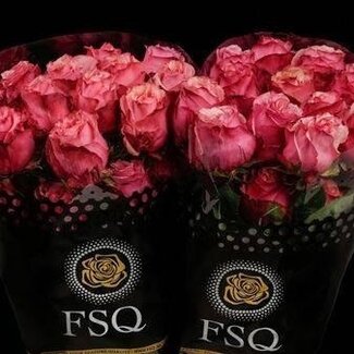 Freshy Rose à grandes fleurs “Art Rose” | Couleur: Rose | Longueur ± 50 centimeter | Origine Ecuador | Par 20 roses