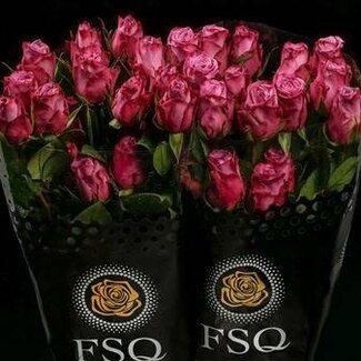 Freshy Großblütige Rose “Moody Blues” | Farbe: Lila | Länge ± 60 centimeter | Herkunft Ecuador | Pro 20 Rosen