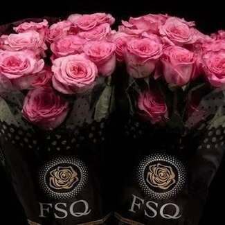 Freshy Rose à grandes fleurs “Ashley Pink” | Couleur: Rose | Longueur ± 50 centimeter | Origine Ecuador | Par 24 roses