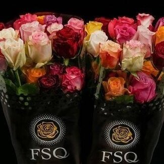 Freshy Großblütige Rose “Seasons Mix” | Farbe: Gemischte Farben | Länge ± 50 centimeter | Herkunft Ecuador | Pro 20 Rosen