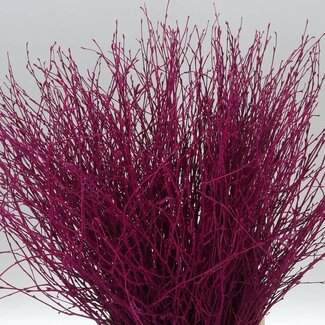 Freshy Branches de bouleau “Cerise” | Couleur: Rose | Longueur ± 60 centimeter | Par 5 branches