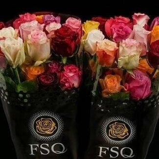 Freshy Strauß Rosen “Seasons Mix” | Farbe: Gemischte Farben | Länge ± 40 centimeter | Herkunft Ecuador | Pro 20 Rosen