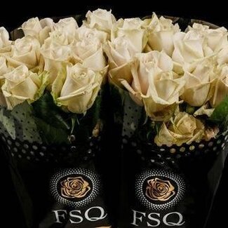 Freshy Large-flowered Rose “Sandy” | Colour: Pink White | Length ± 50 centimetre | Origin Ecuador | Per 20 fresh roses