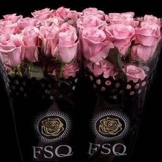 Freshy Grootbloemige Roos “Think Pink” | Kleur: Roze | Lengte ± 60 centimeter | Herkomst Ecuador | Per 20 verse bloemen