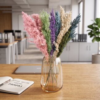 Dutch Dried Plumes de pampas séchées en tons pastel | Longueur ± 70 centimètres | Par 10 branches