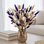 Bouquet of dried flowers Lagurus Pastel Mix |  | Length ± 65 centimetres | Weight ± 100 grams
