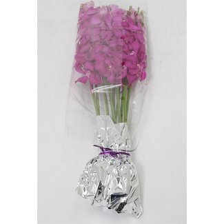 Freshy Mokara Orchidee “Calipso” | Farbe: Lila | Länge ± 60 centimeter | Pro 10 Stiele