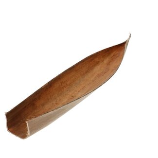 4A Droogdeco Kokosnoot Blad Bootvorm | Kleur: Bruin | Lengte 60 - 80 centimeter | Per blad