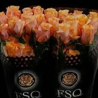 Freshy R Eq Peach Love