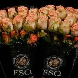 Freshy Großblütige Rose “Country Home” | Farbe: Rosa Orange | Länge ± 60 centimeter | Herkunft Ecuador | Pro 20 frische Rosen