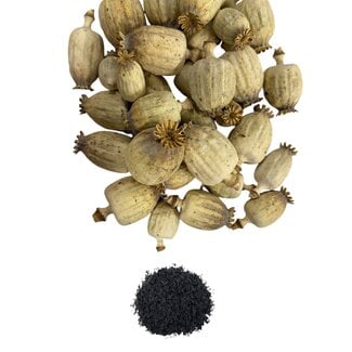 POPPY POWER Dried Poppy Heads | Size M | Harvest 2025 | Per Kilo