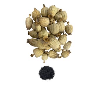 POPPY POWER Têtes de pavot séchées | Taille M | Récolte 2025 | Disponibles au kilo