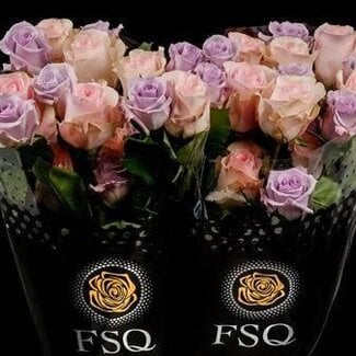Freshy R Eq Seasons Lavander Mix