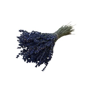 Dutch Dried Gedroogde Lavendel | Kleur: Donkerblauw Natuurlijk | Lavendel Droogbloemen | Lengte ± 30 centimeter | Gewicht 70 gram | Per bos