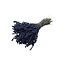 Gedroogde Lavendel | Kleur: Donkerblauw Natuurlijk | Lavendel Droogbloemen | Lengte ± 30 centimeter | Gewicht 70 gram | Per bos