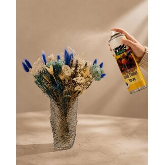 Dutch Dried Professional Spray for Dried Flowers | 300 CC Aerosol